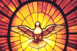 Plate for The Dove